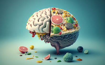 Besoins physiologiques : les bienfaits de l’alimentation sur les apprentissages et la gestion du stress !