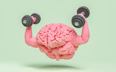 Besoins physiologiques : les bienfaits de l’activité physique sur les apprentissages et la gestion du stress !